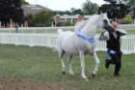malvern_094_small.jpg