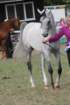 malvern_095_small.jpg