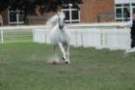malvern_096_small.jpg