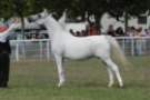 malvern_100_small.jpg