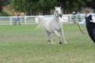 malvern_101_small.jpg