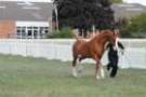 malvern_102_small.jpg