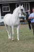 malvern_103_small.jpg