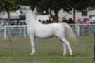 malvern_106_small.jpg