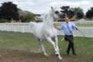 malvern_107_small.jpg