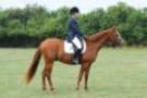dassa_dressage_15th_aug_10_36_small.jpg