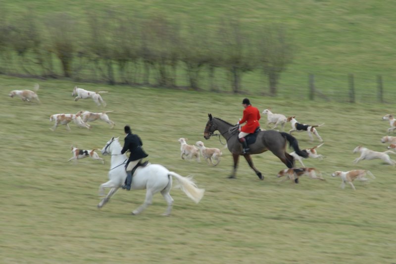 dsc_0291 dsc_0291.jpg