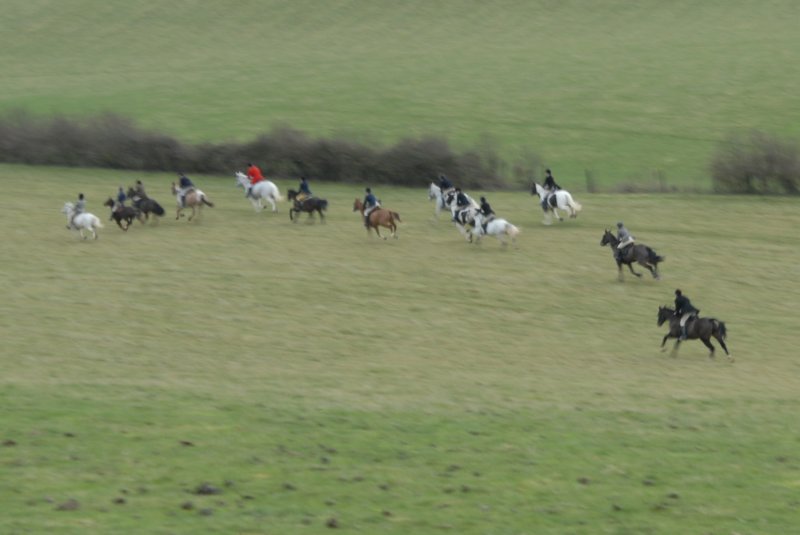 dsc_0300 dsc_0300.jpg
