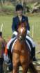 dassa_dressage_23_jan_2011_016_small.jpg