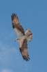 dsc067365_small.jpg