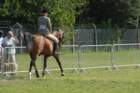 dsc_0031_small.jpg