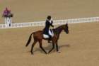 dsc_0289_small.jpg