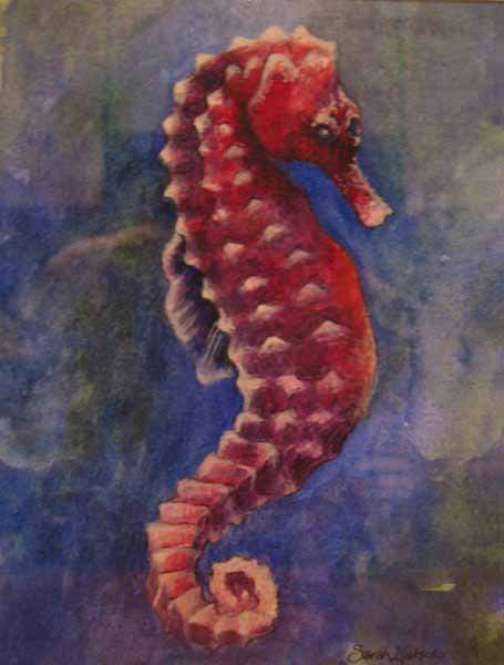 seahorse.jpg