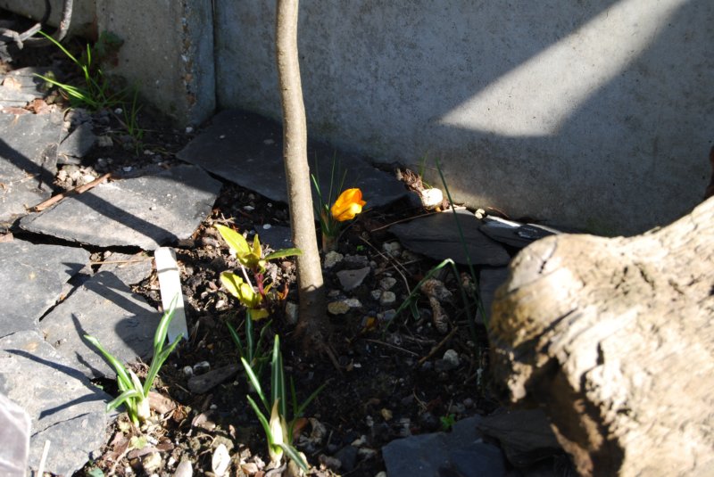 photo17.jpg