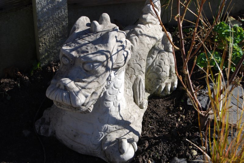 photo9.jpg