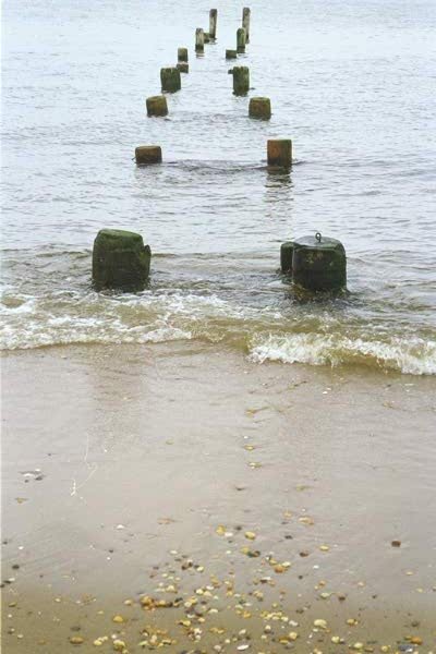 jullousarvacationinnj00017.jpg