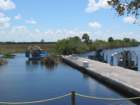 alligatoralley013_small.jpg