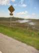 alligatoralley019_small.jpg