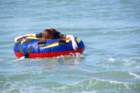 bumpnridejetski021_small.jpg