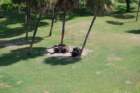 buschgardens017_small.jpg