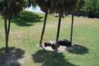 buschgardens018_small.jpg