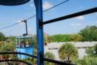 buschgardens020_small.jpg