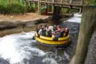 buschgardens021_small.jpg