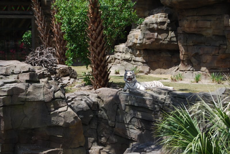 buschgardens027.jpg