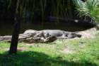 buschgardens082_small.jpg