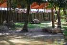 buschgardens090_small.jpg