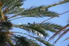 miamisouthbeach040_small.jpg