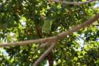 miamisouthbeach045_small.jpg