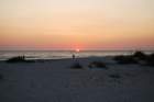 stpetebeach51_small.jpg