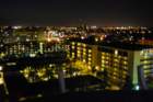 stpetebeach55_small.jpg