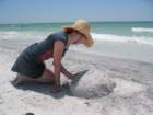 stpetebeach58_small.jpg