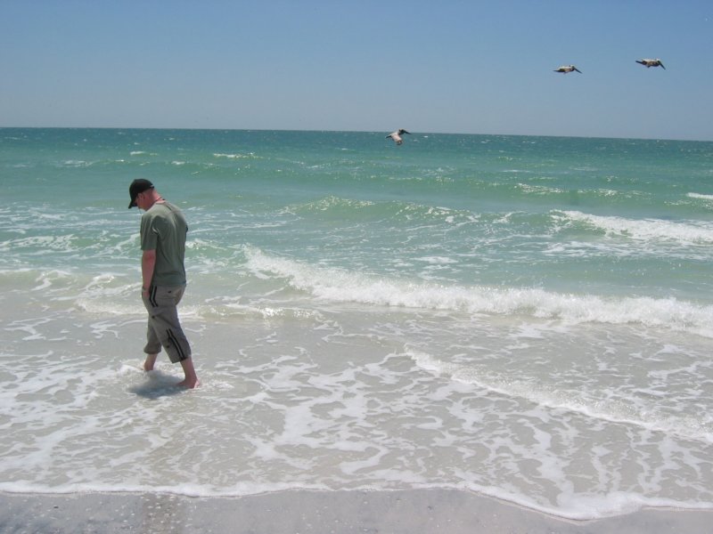 stpetebeach67.jpg