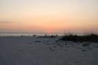 stpetebeach8_small.jpg