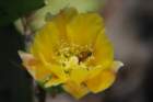 dsc_0270_small.jpg