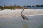 dsc_0672_small.jpg