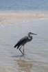 dsc_0675_small.jpg