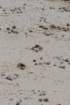 dsc_0686_small.jpg