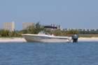 dsc_0704_small.jpg