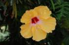 dsc_0828_small.jpg