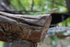 dsc_0834_small.jpg