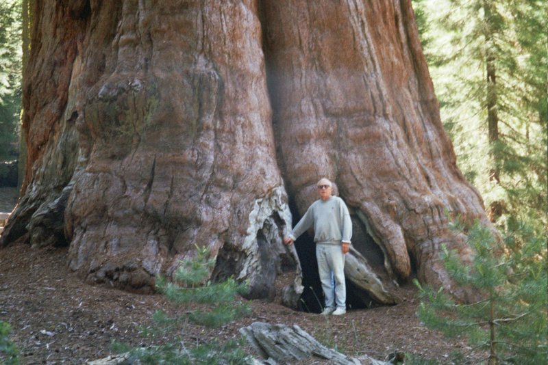 albygeneralsherman.jpg