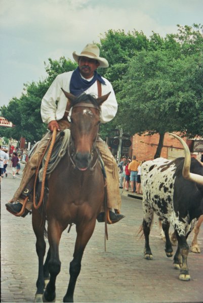 texascowboy.jpg