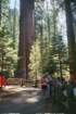 vialbygeneralsherman_small.jpg