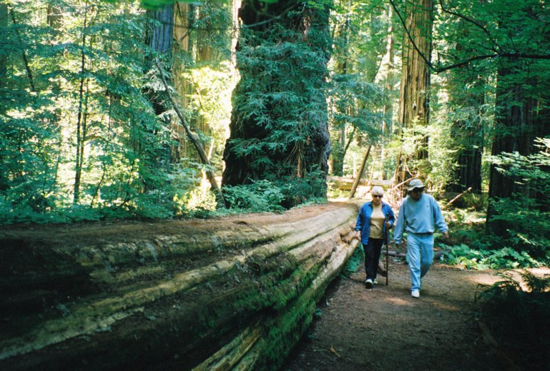 vialwalkbyredwoodca.jpg