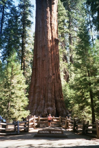 vibygeneralsherman2.jpg