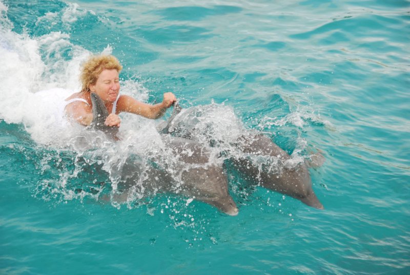 day07dolphinacademycuracao11.jpg